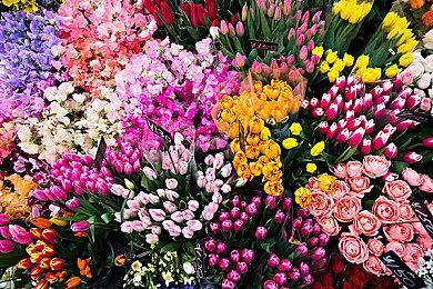 LOL走向CCTV？央视申请注册多个“央视电竞”商标